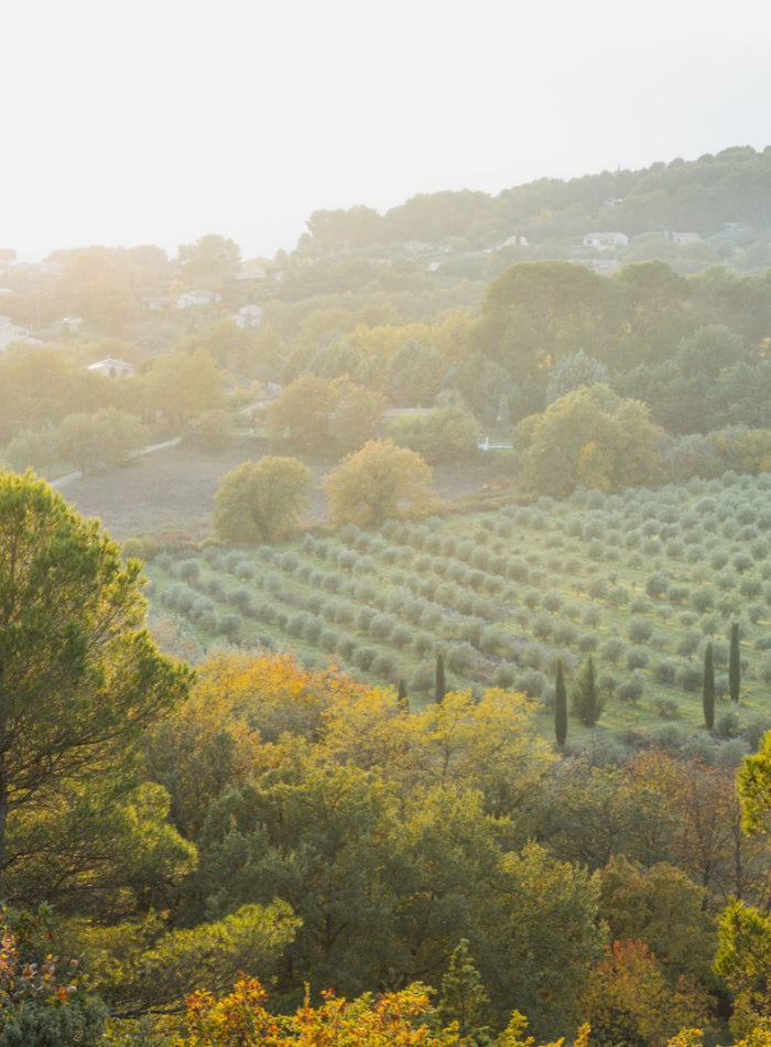 Que faire en Provence en automne ? 5 idées pour profiter du Luberon