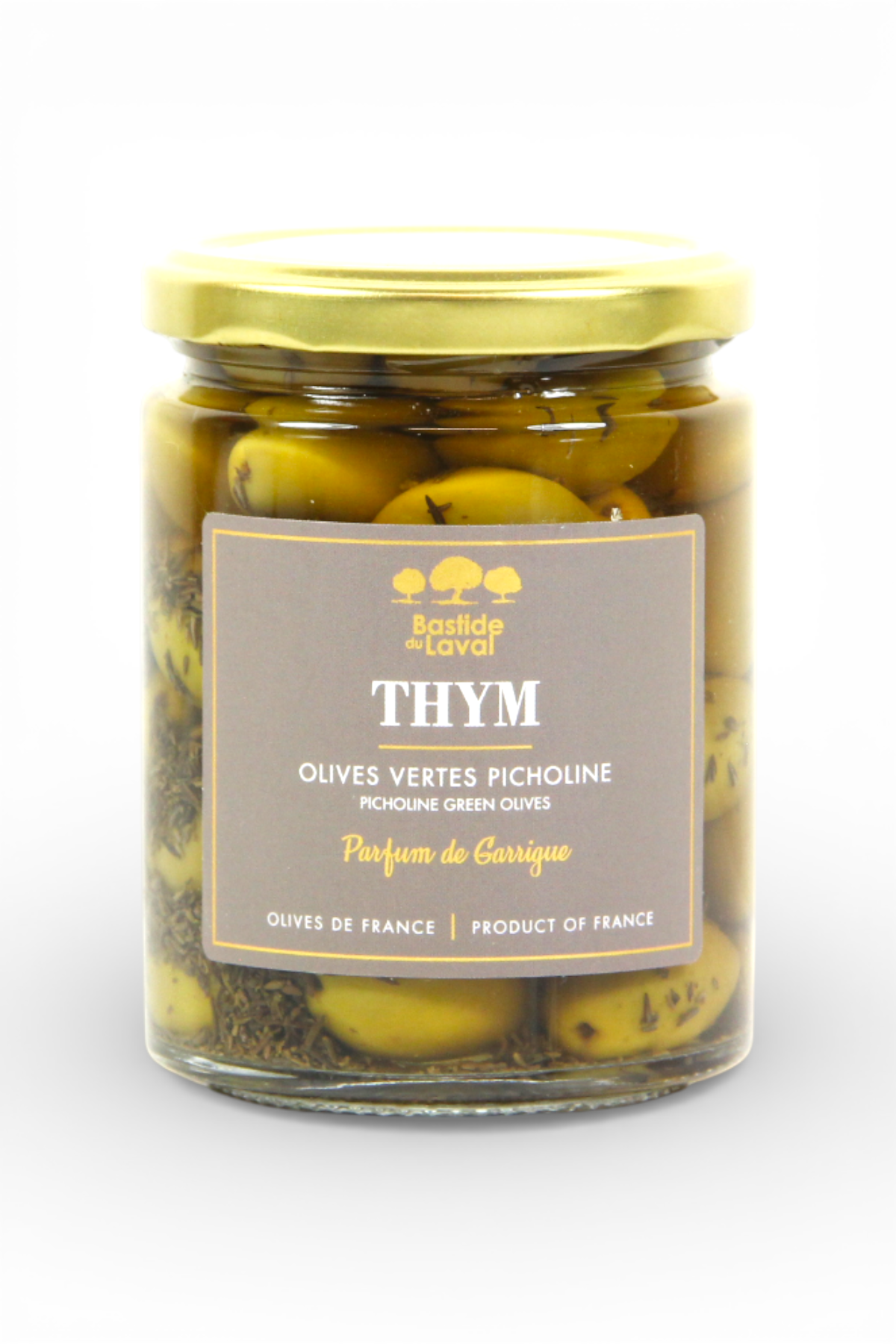 Grüne Picholine-Oliven mit Thymian