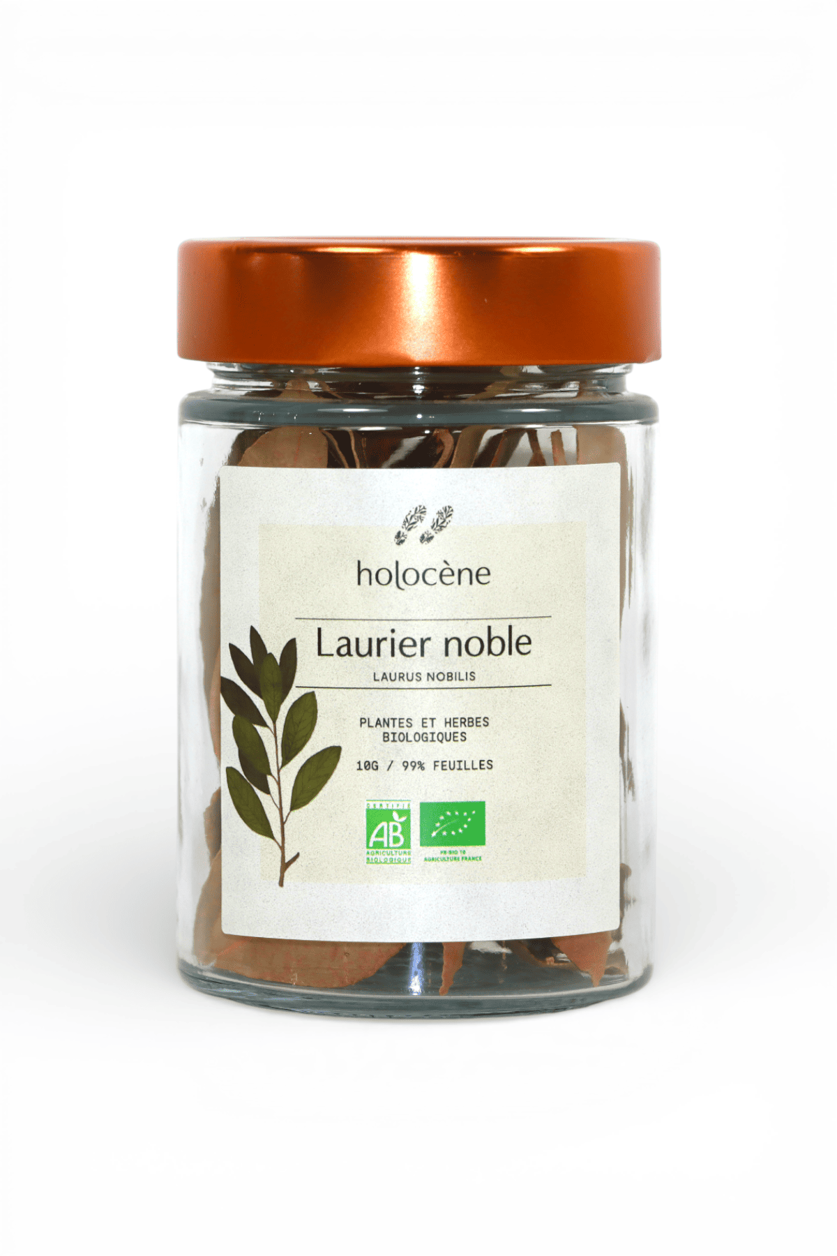 Laurier noble Bio 10g