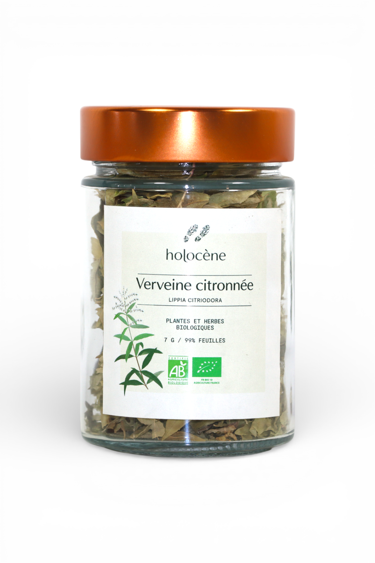 Verveine citronnée Bio 7g