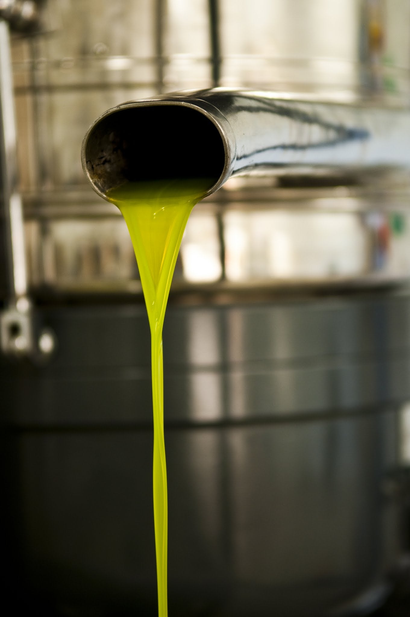 Les vertus insoupçonnées de l'huile d'olive