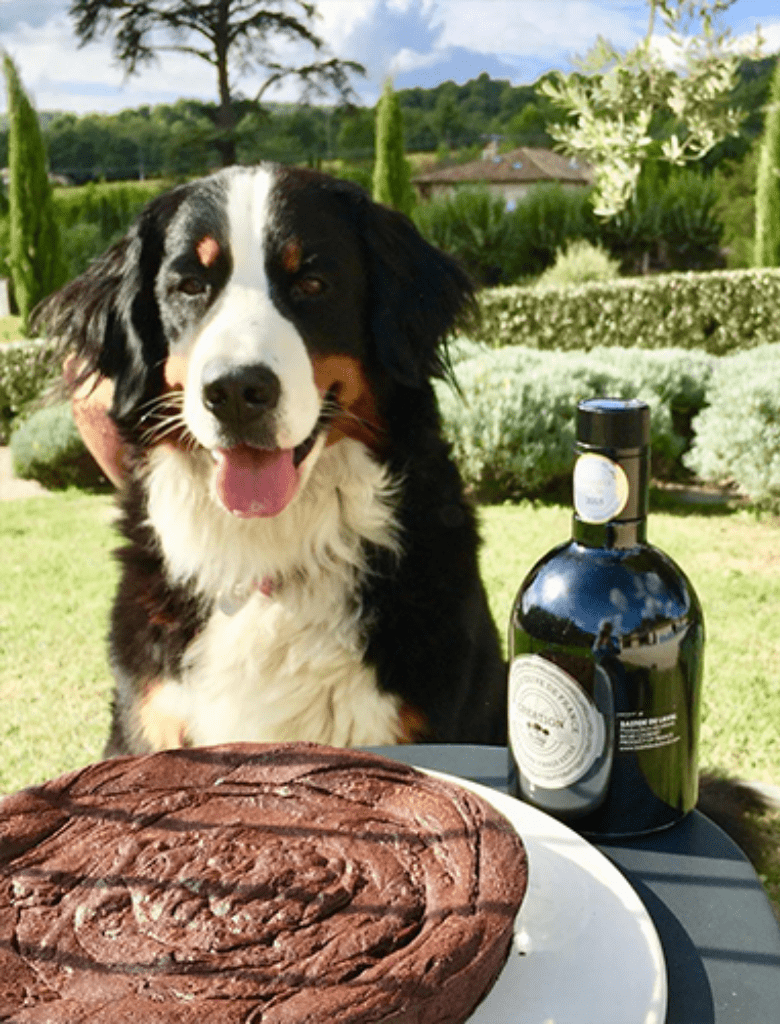 Fondant au chocolat (sans farine) à l'huile d'olive fruité vert Bastide du Laval
