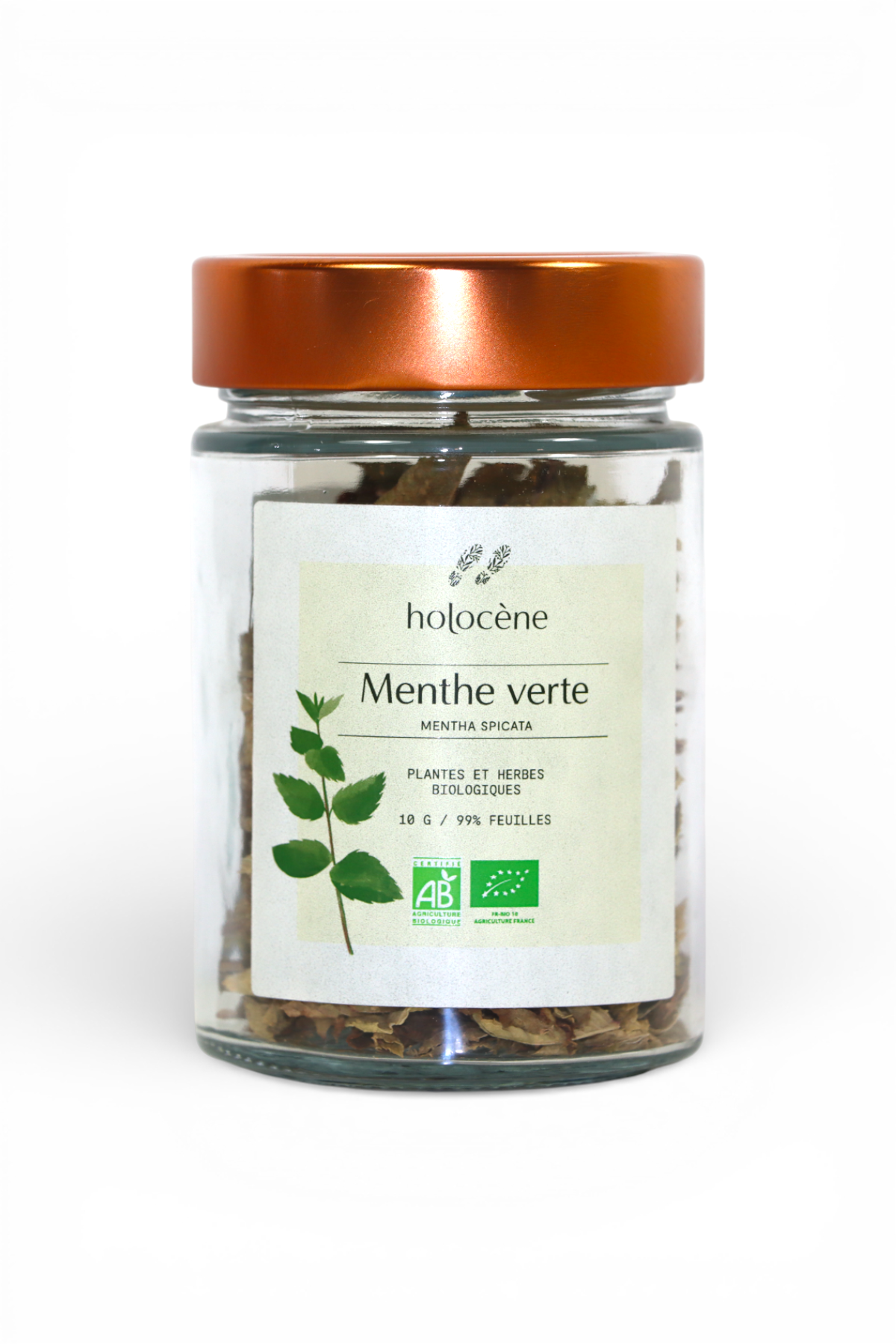 Menthe verte Bio 10g