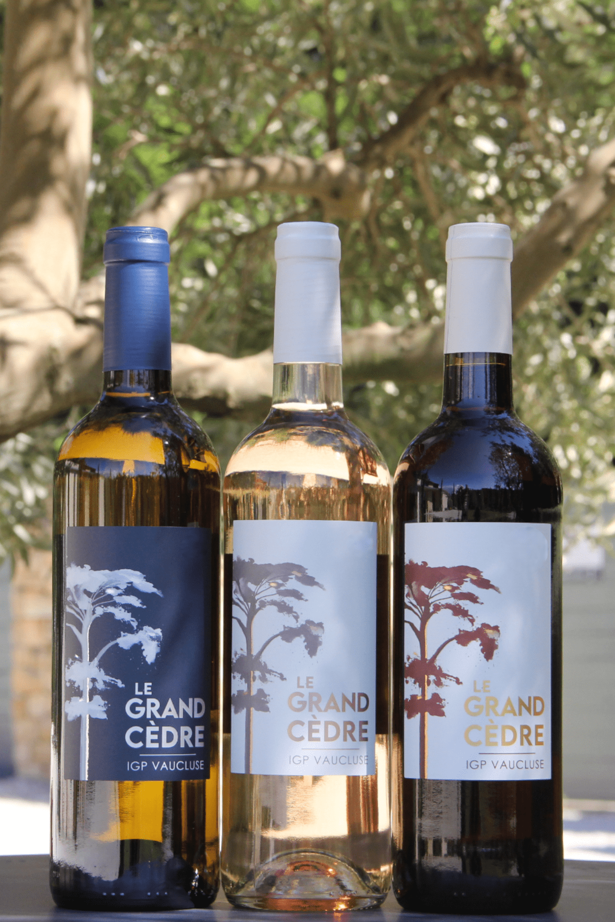 “Le Grand Cèdre” wine promotion